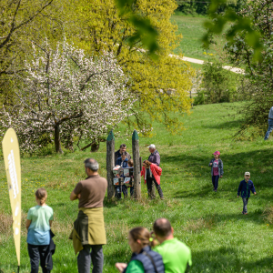 Tag-der-Streuobstwiese_Kappelbuck-2025__02