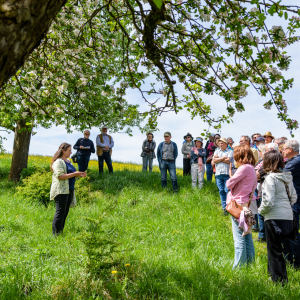 Tag-der-Streuobstwiese_Kappelbuck-2025__10