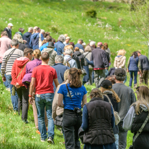 Tag-der-Streuobstwiese_Kappelbuck-2025__13