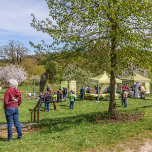 Tag-der-Streuobstwiese_Kappelbuck-2025__15