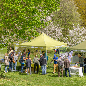 Tag-der-Streuobstwiese_Kappelbuck-2025__20